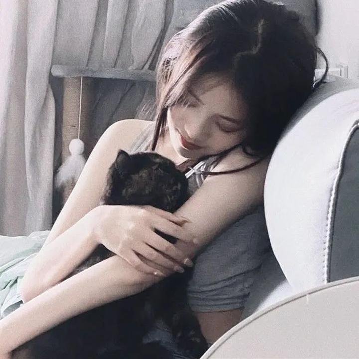 地狱之轮 第五季